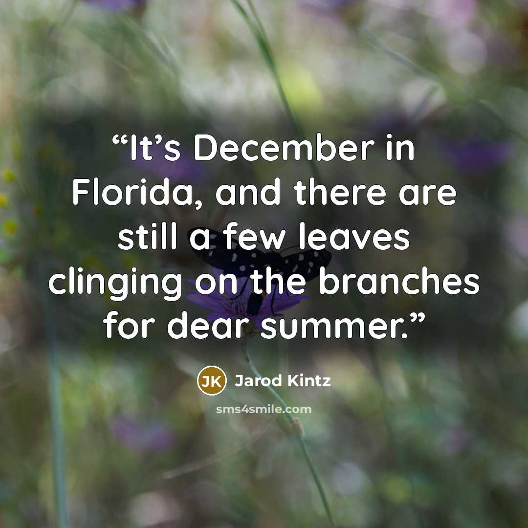 “It’s December in Florida, and there are still a few leaves clinging on the branches for dear summer.” quote by Jarod Kintz