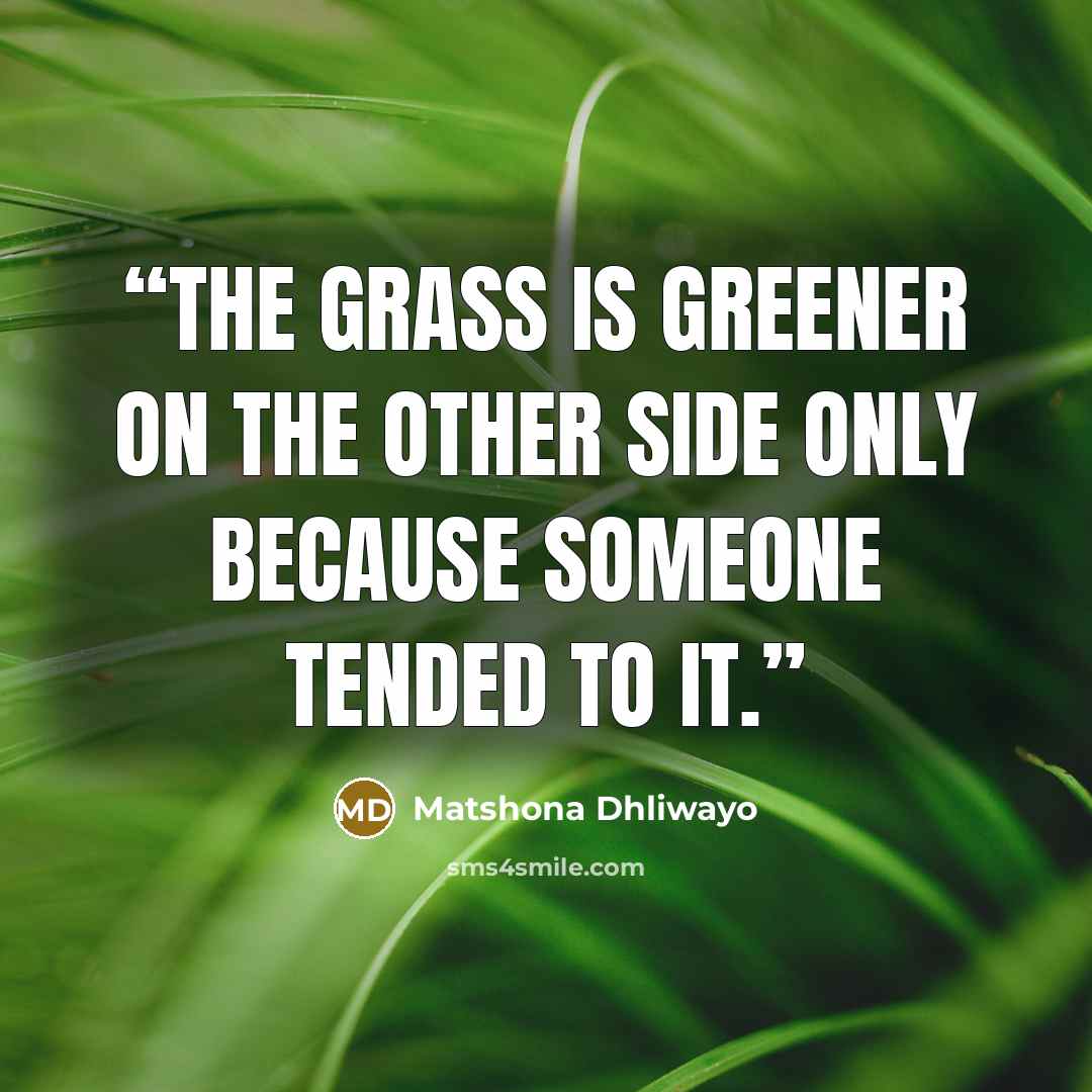 “The grass is greener on the other side only because someone tended to it.” quote by Matshona Dhliwayo