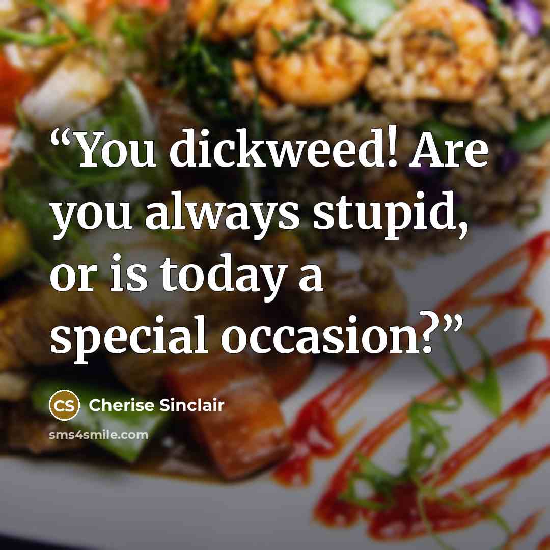 “You dickweed! Are you always stupid, or is today a special occasion?” quote by Cherise Sinclair