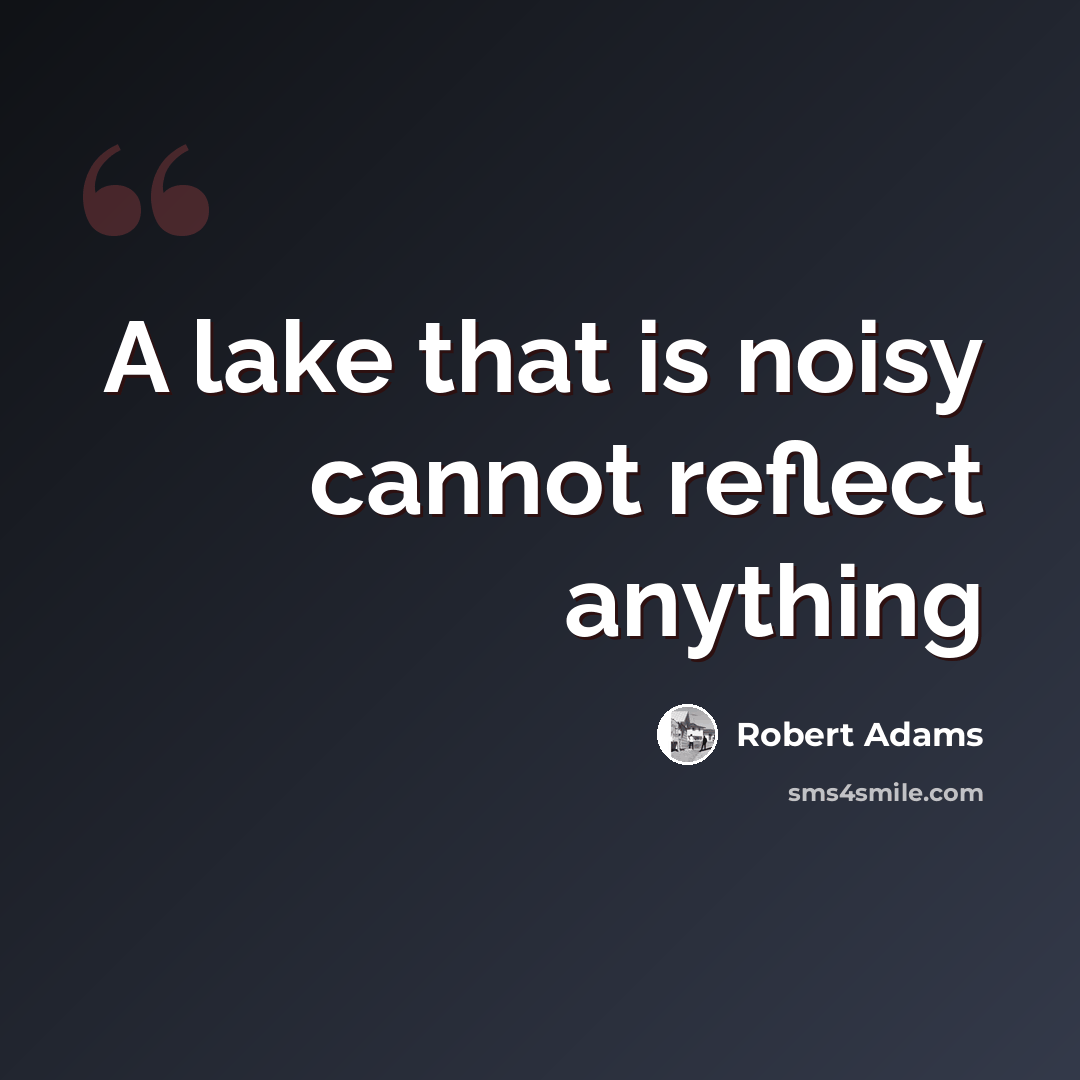 “A lake that is noisy cannot reflect anything” quote by Robert Adams