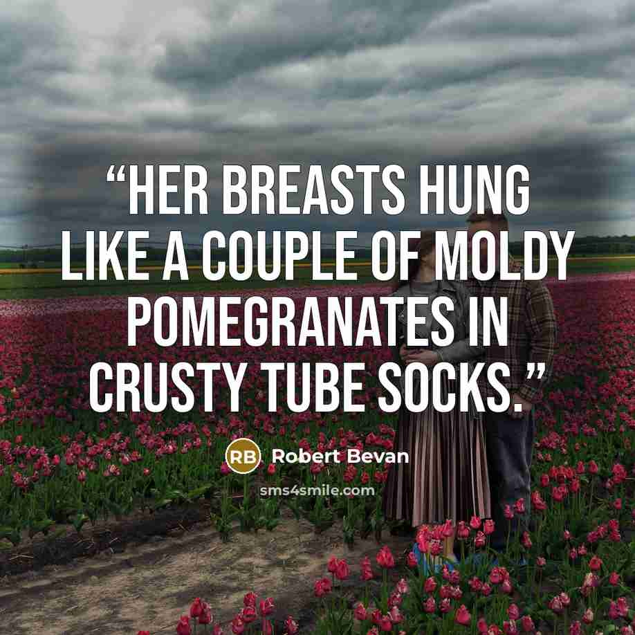 “Her breasts hung like a couple of moldy pomegranates in crusty tube socks.” quote by Robert Bevan
