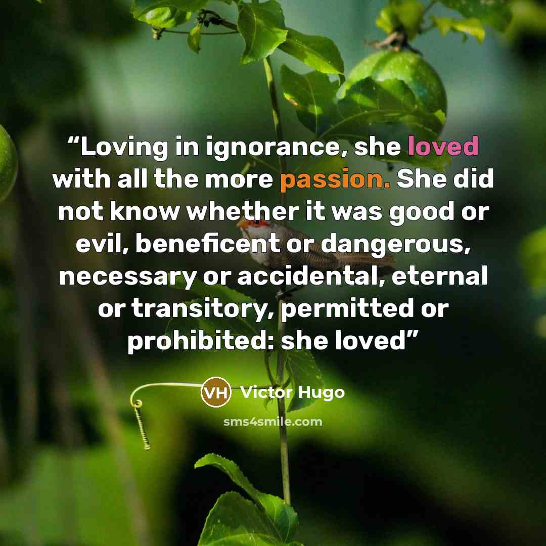 “Loving in ignorance, she loved with all the more passion. She did not know whether it was good or evil, beneficent or dangerous, necessary or accidental, eternal or transitory, permitted or prohibited: she loved” quote by Victor Hugo