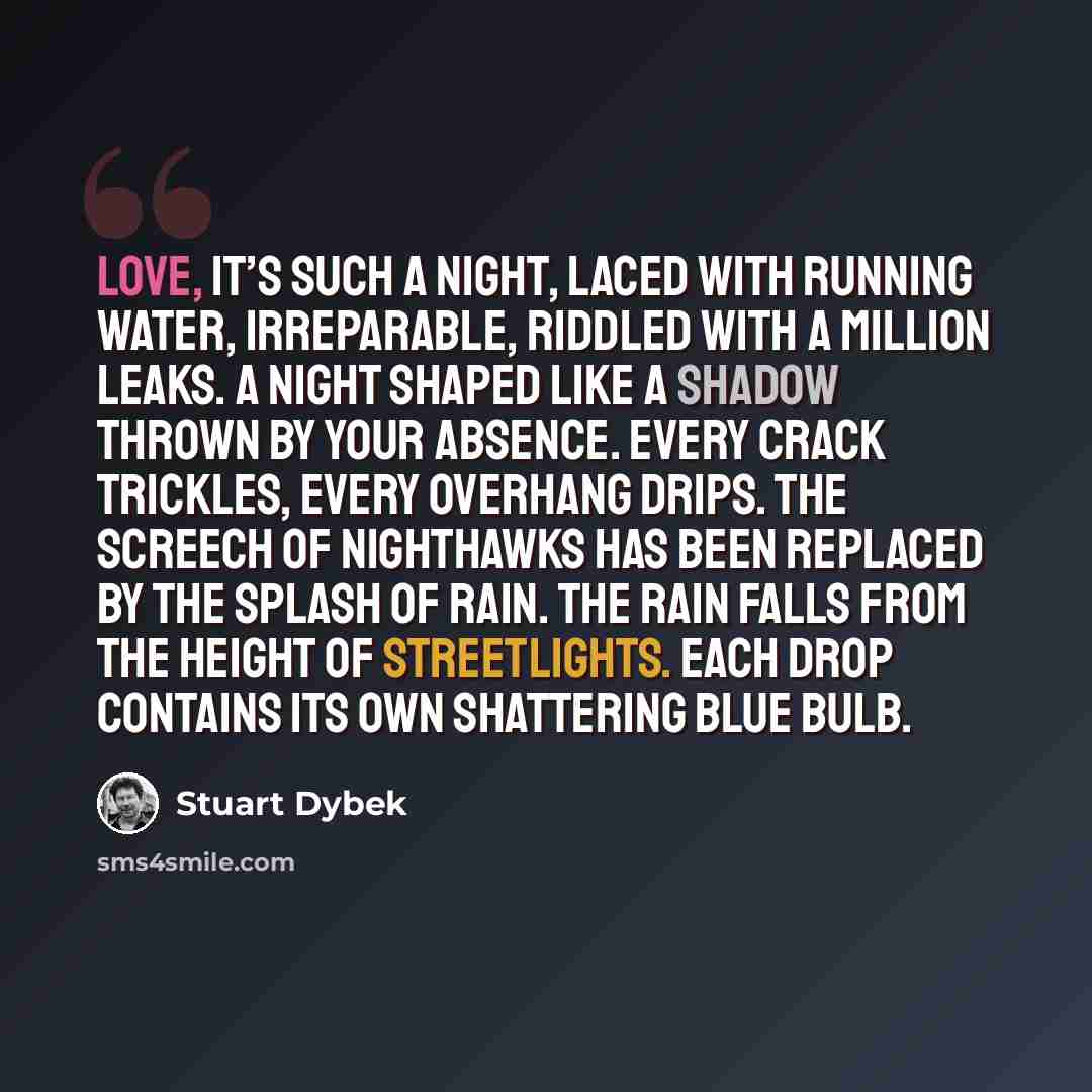 “Love, it’s such a night, laced with running water, irreparable, riddled with a million leaks. A night shaped like a shadow thrown by your absence. Every crack trickles, every overhang drips. The screech of nighthawks has been replaced by the splash of rain. The rain falls from the height of…” quote by Stuart Dybek