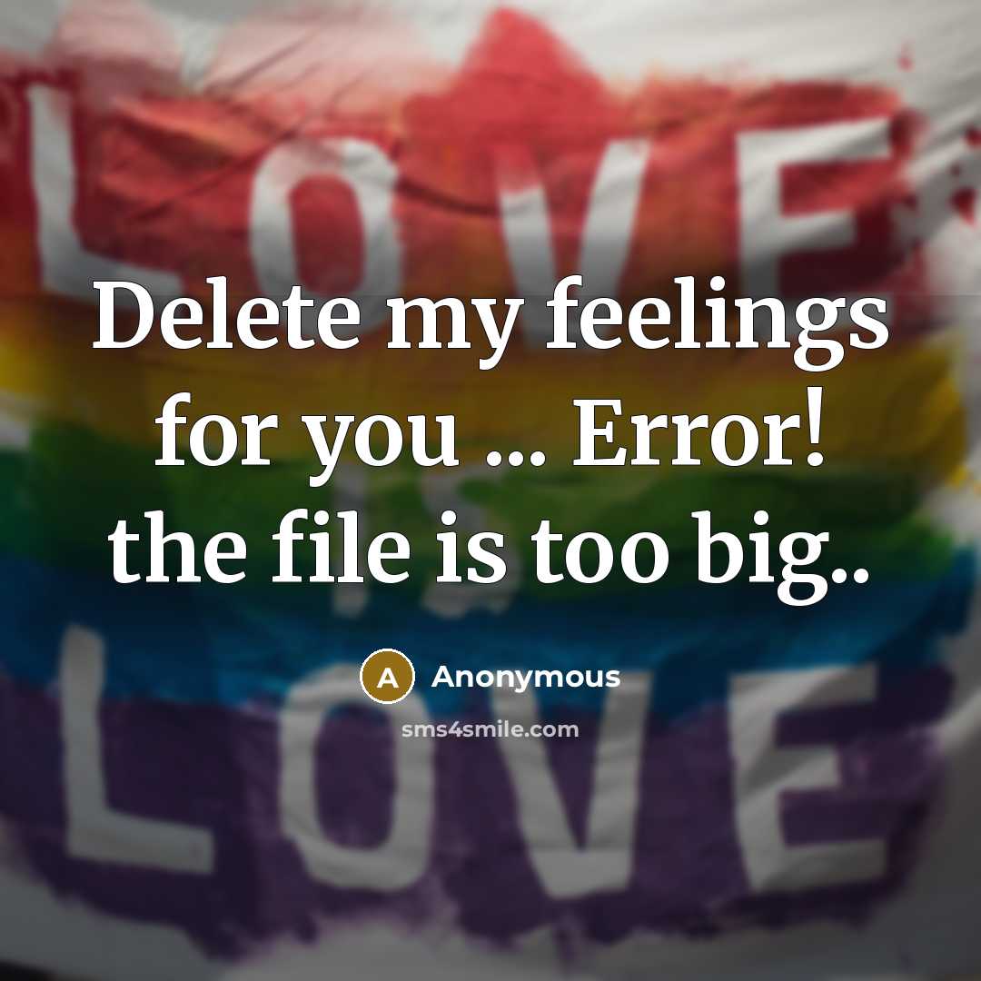 “Delete my feelings for you ... Error! the file is too big..” quote by Anonymous