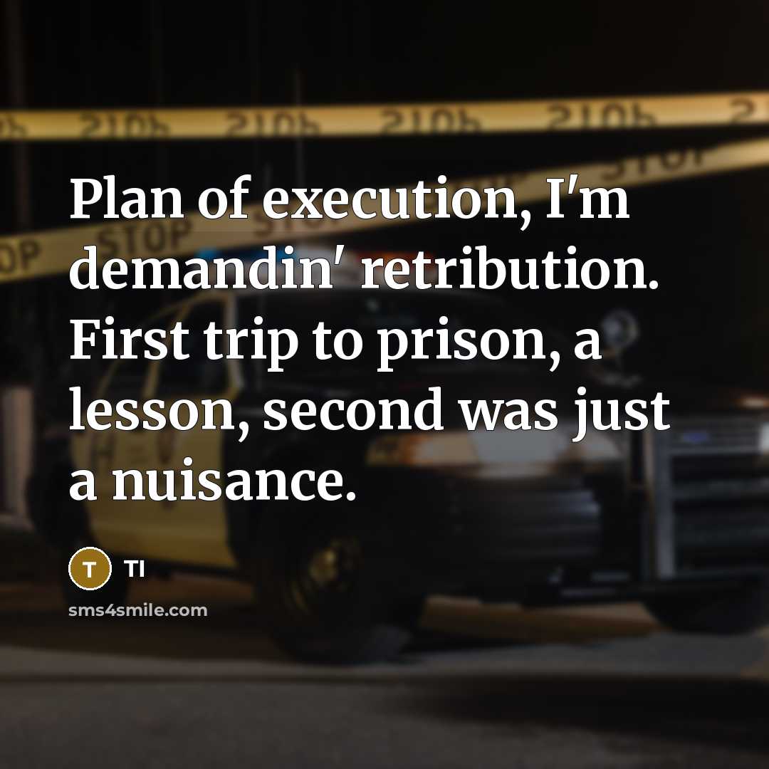 “Plan of execution, I'm demandin' retribution. First trip to prison, a lesson, second was just a nuisance.” quote by TI
