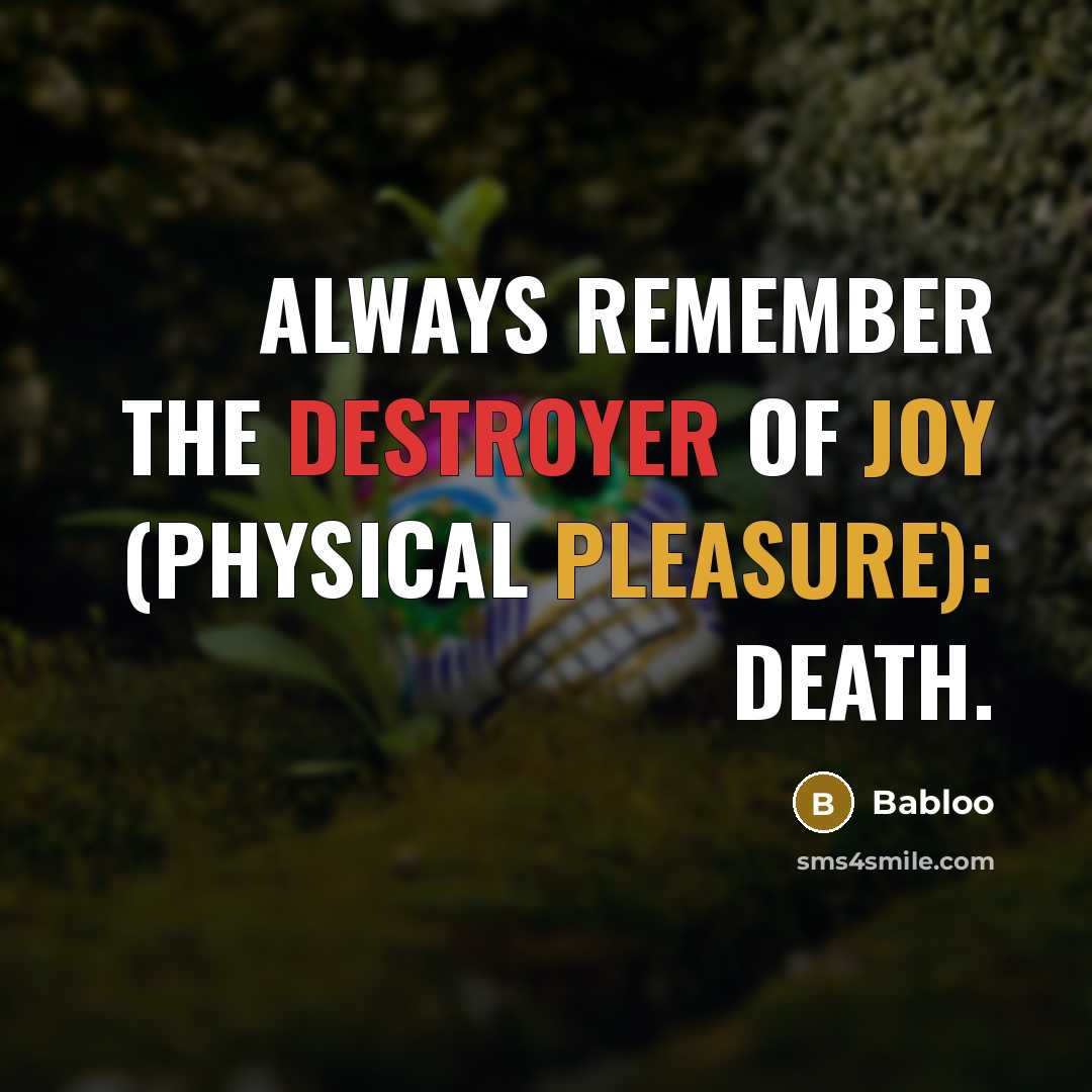 “Always remember the destroyer of joy (physical pleasure): death.” quote by Babloo