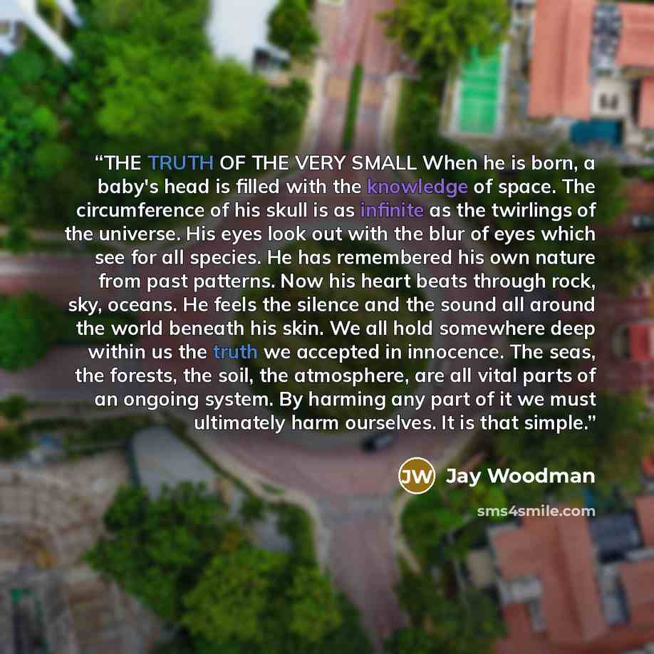 “THE TRUTH OF THE VERY SMALL When he is born, a baby's head is filled with the knowledge of space. The circumference of his skull is as infinite as the twirlings of the universe. His eyes look out with the blur of eyes which see for all species. He has remembered his own nature from past patterns…” quote by Jay Woodman