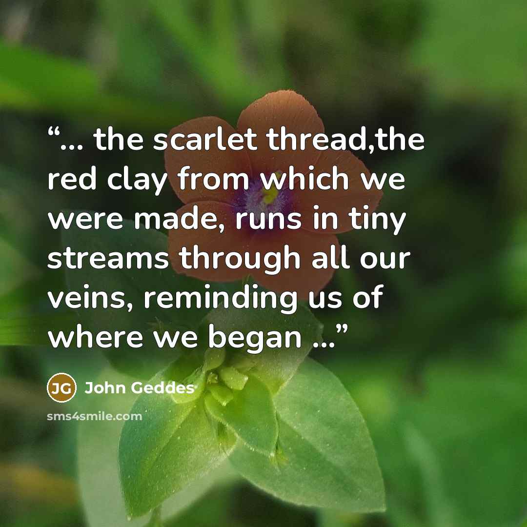 “... the scarlet thread,the red clay from which we were made, runs in tiny streams through all our veins, reminding us of where we began ...” quote by John Geddes