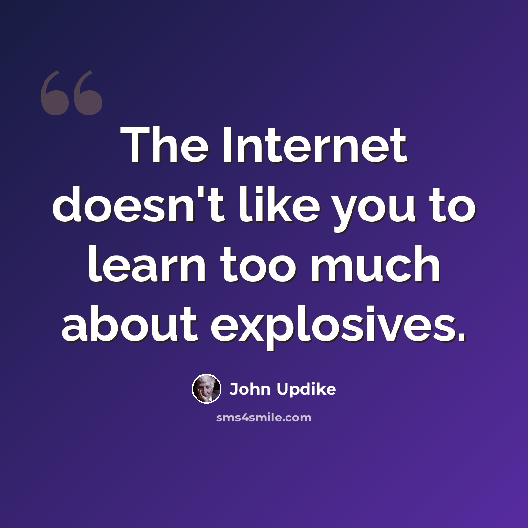 “The Internet doesn't like you to learn too much about explosives.” quote by John Updike