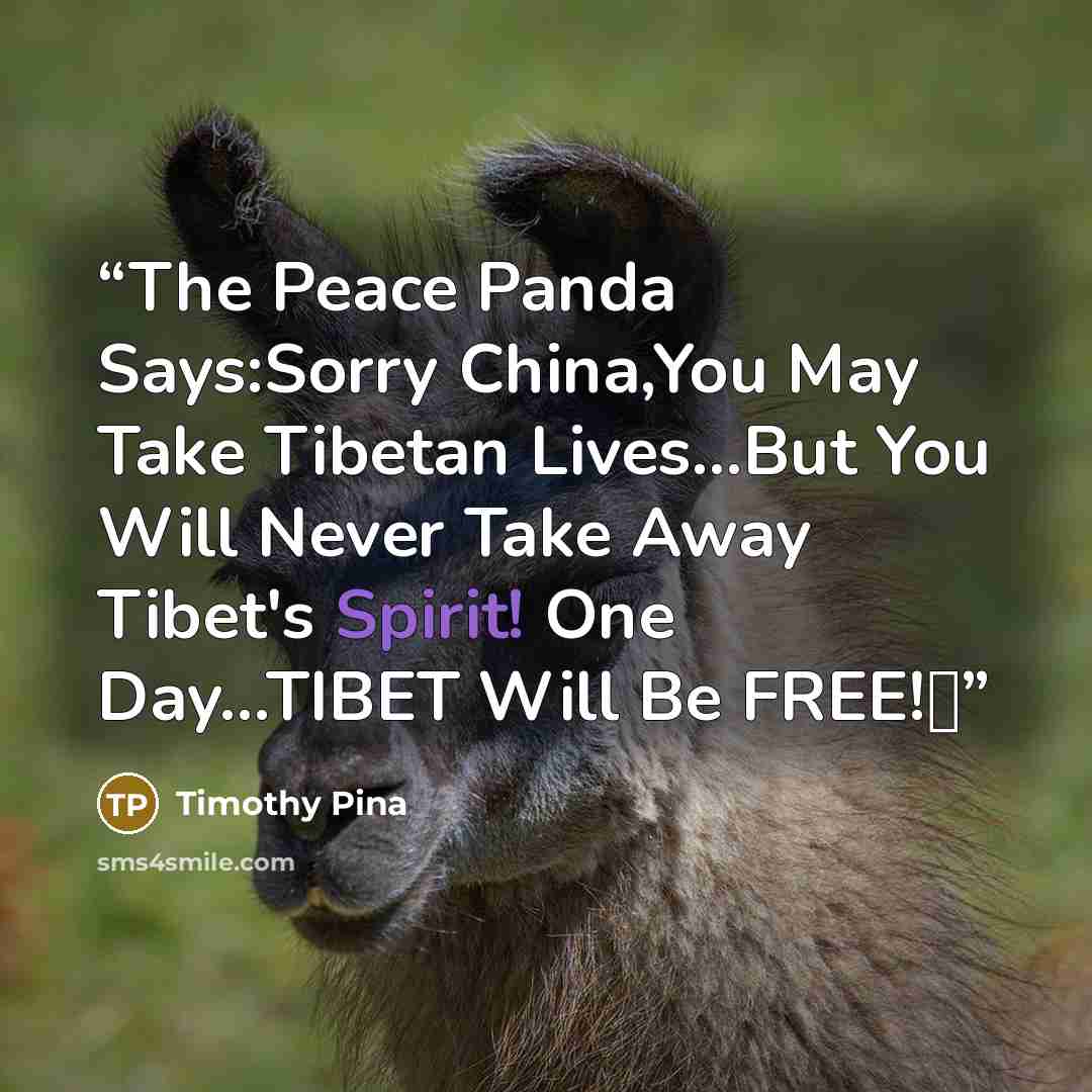 “The Peace Panda Says:Sorry China,You May Take Tibetan Lives...But You Will Never Take Away Tibet's Spirit! One Day...TIBET Will Be FREE!✌” quote by Timothy Pina