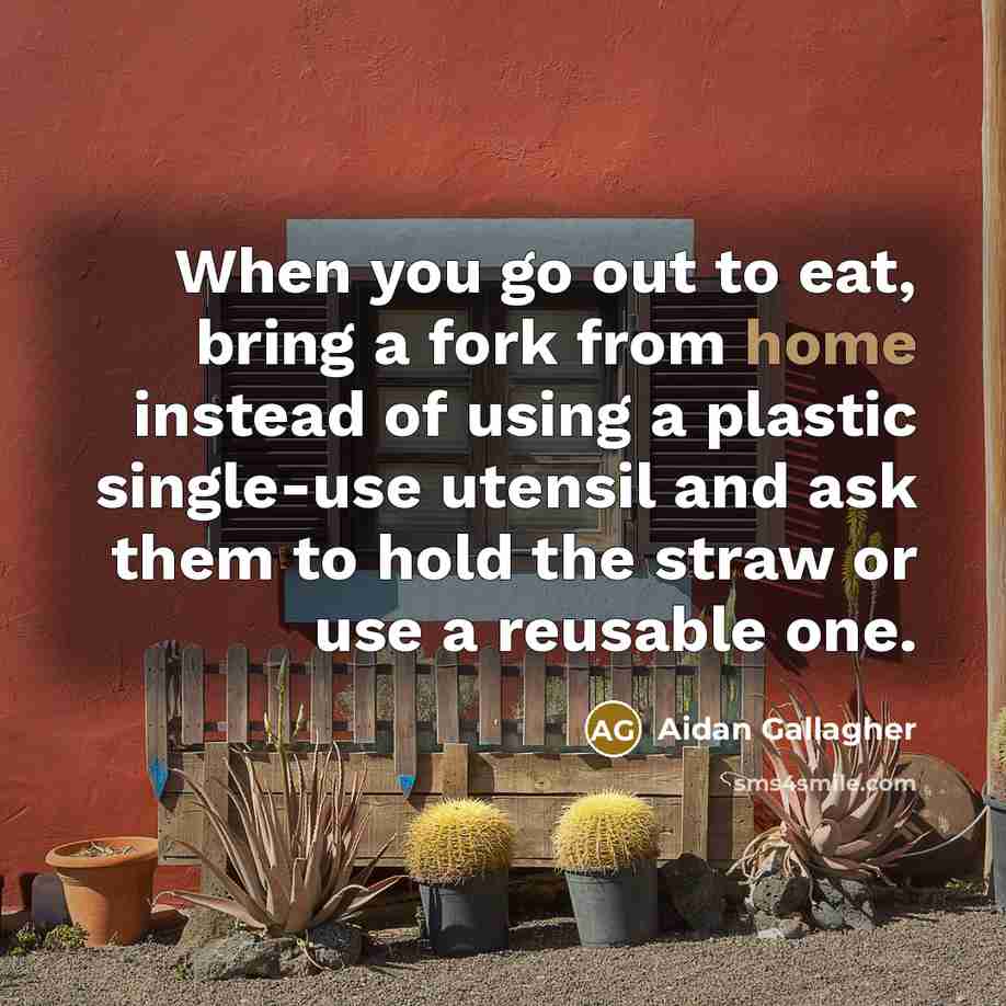 “When you go out to eat, bring a fork from home instead of using a plastic single-use utensil and ask them to hold the straw or use a reusable one.” quote by Aidan Gallagher