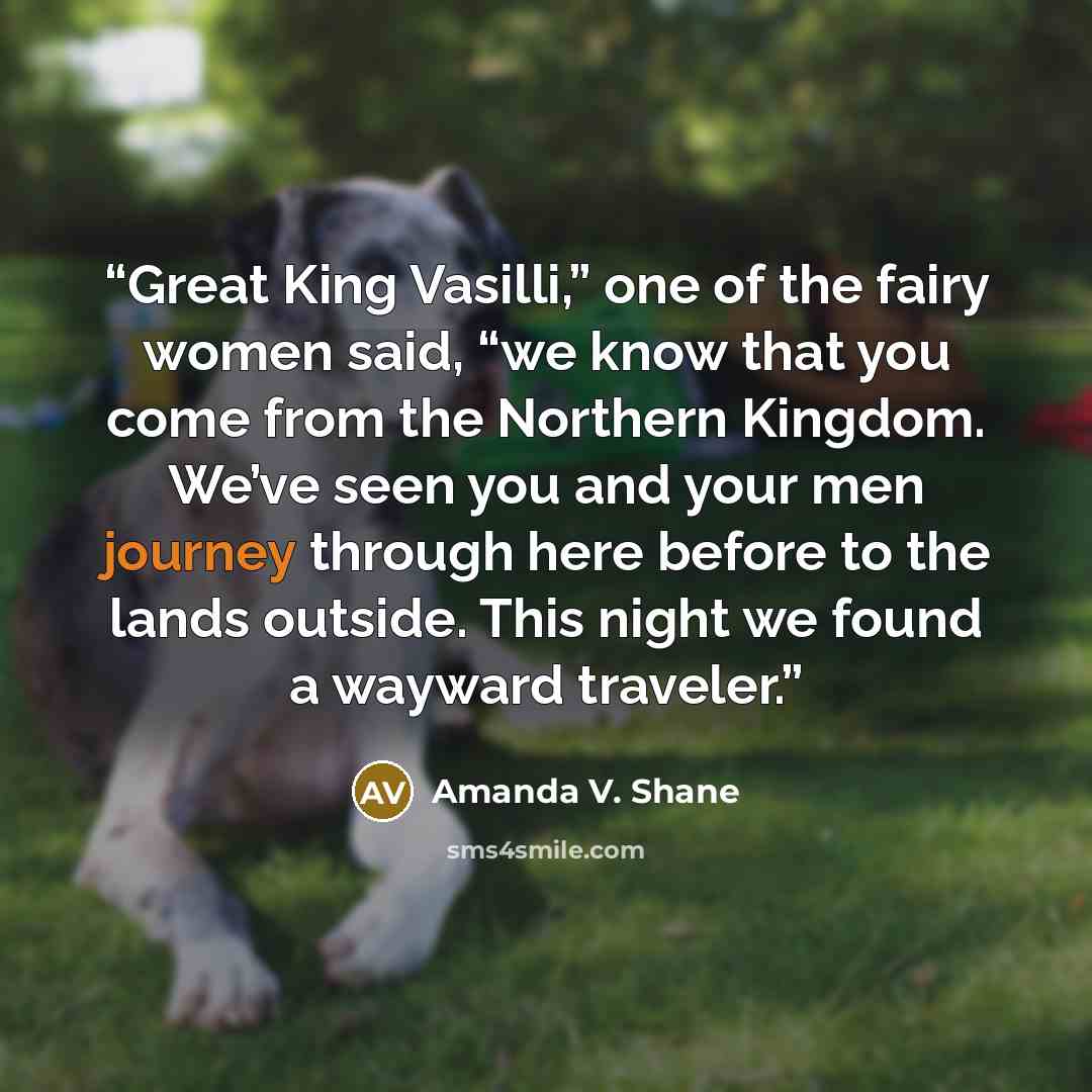 “Great King Vasilli,” one of the fairy women said, “we know that you come from the Northern Kingdom. We’ve seen you and your men journey through here before to the lands outside. This night we found a wayward traveler.” quote by Amanda V. Shane