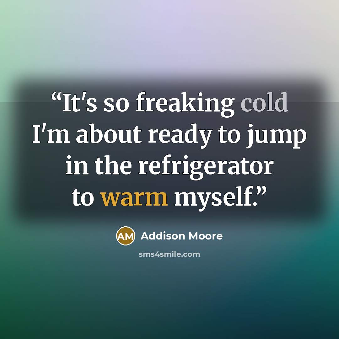 “It's so freaking cold I'm about ready to jump in the refrigerator to warm myself.” quote by Addison Moore