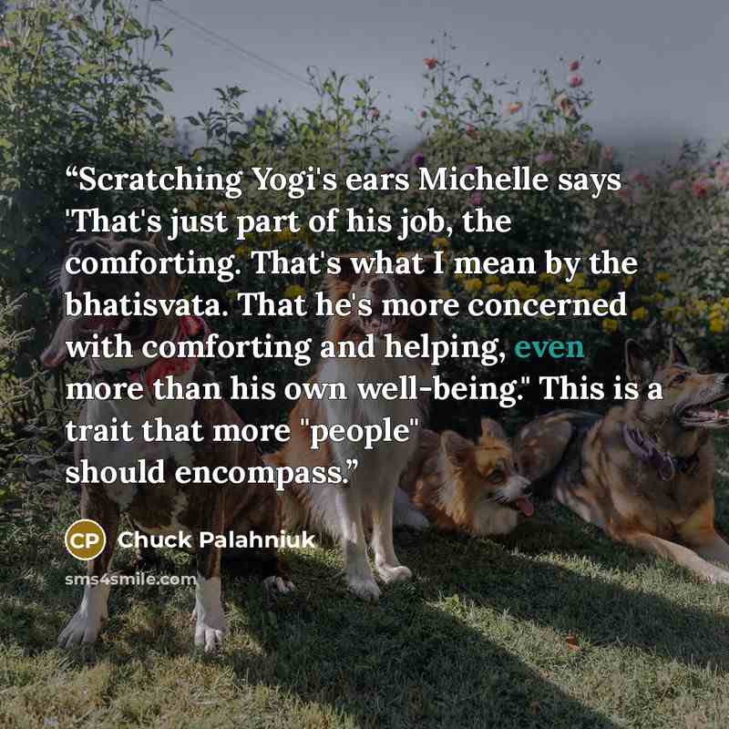 “Scratching Yogi's ears Michelle says 'That's just part of his job, the comforting. That's what I mean by the bhatisvata. That he's more concerned with comforting and helping, even more than his own well-being." This is a trait that more "people" should encompass.” quote by Chuck Palahniuk