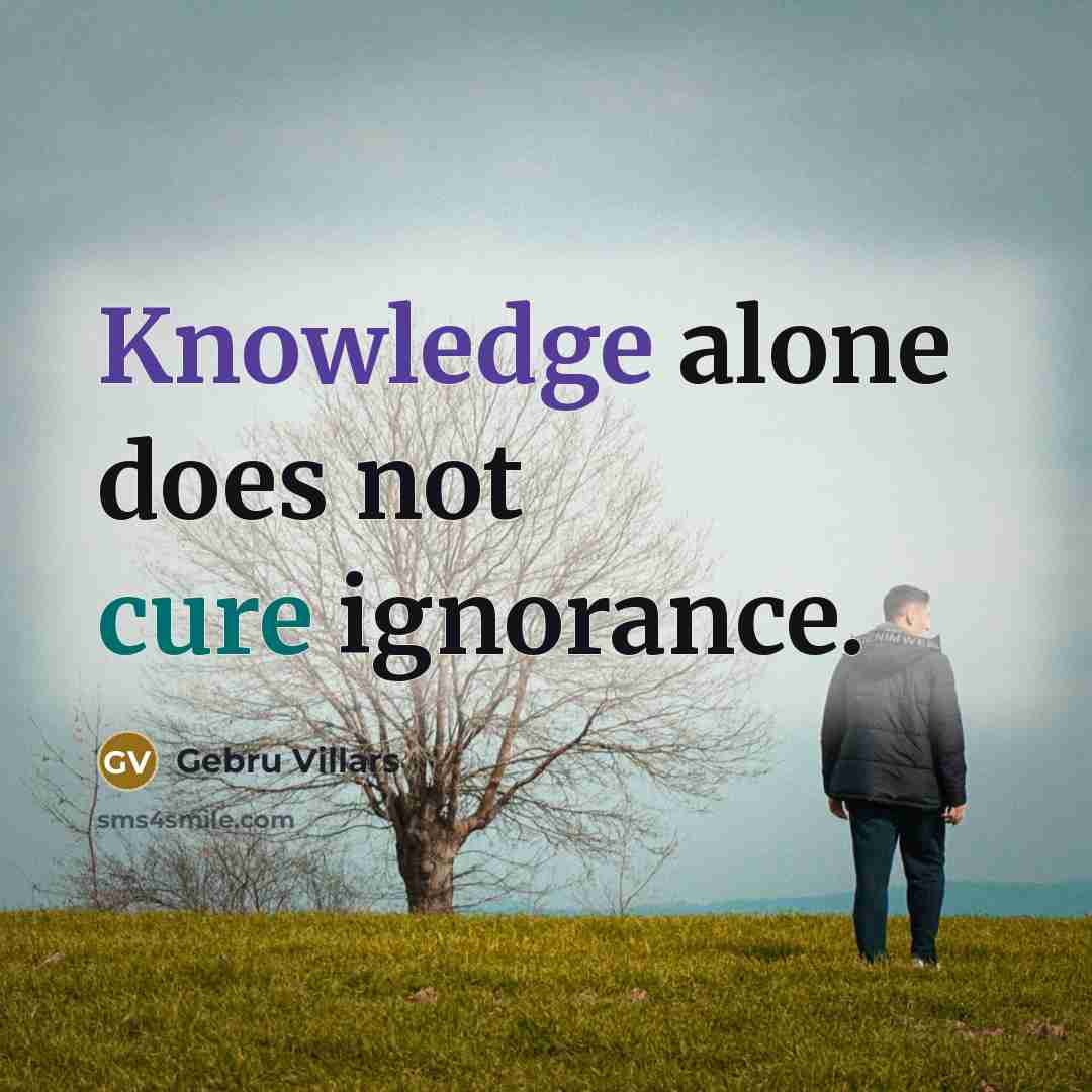 “Knowledge alone does not cure ignorance.” quote by Gebru Villars