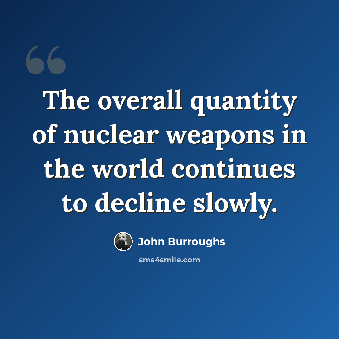 “The overall quantity of nuclear weapons in the world continues to decline slowly.” quote by John Burroughs