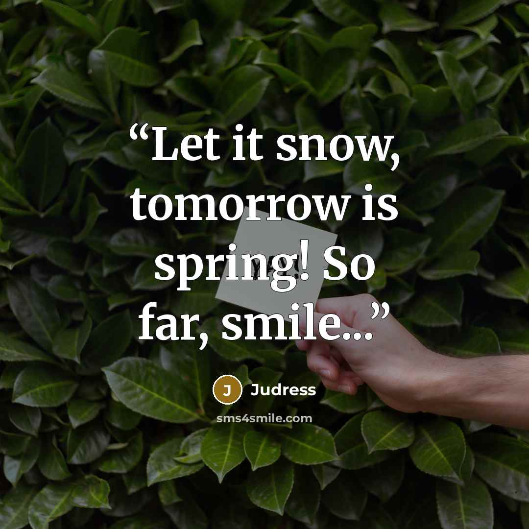 “Let it snow, tomorrow is spring! So far, smile...” quote by Judress