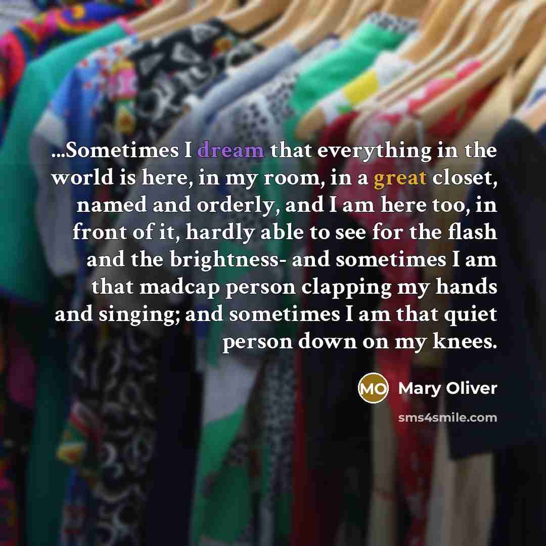 “...Sometimes I dream that everything in the world is here, in my room, in a great closet, named and orderly, and I am here too, in front of it, hardly able to see for the flash and the brightness- and sometimes I am that madcap person clapping my hands and singing; and sometimes I am that quiet…” quote by Mary Oliver
