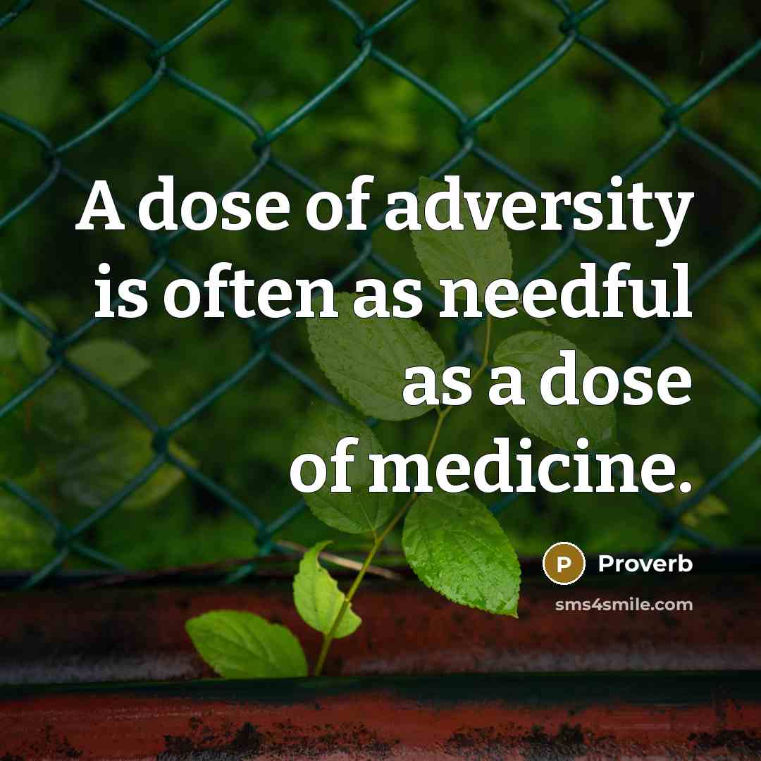 “A dose of adversity is often as needful as a dose of medicine.” quote by Proverb
