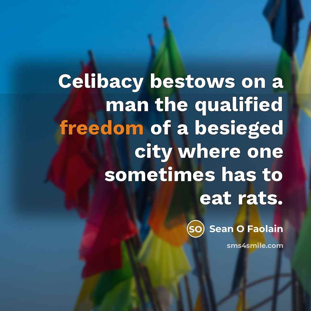 “Celibacy bestows on a man the qualified freedom of a besieged city where one sometimes has to eat rats.” quote by Sean O Faolain