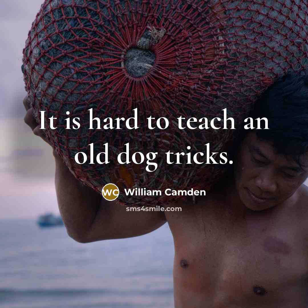 “It is hard to teach an old dog tricks.” quote by William Camden