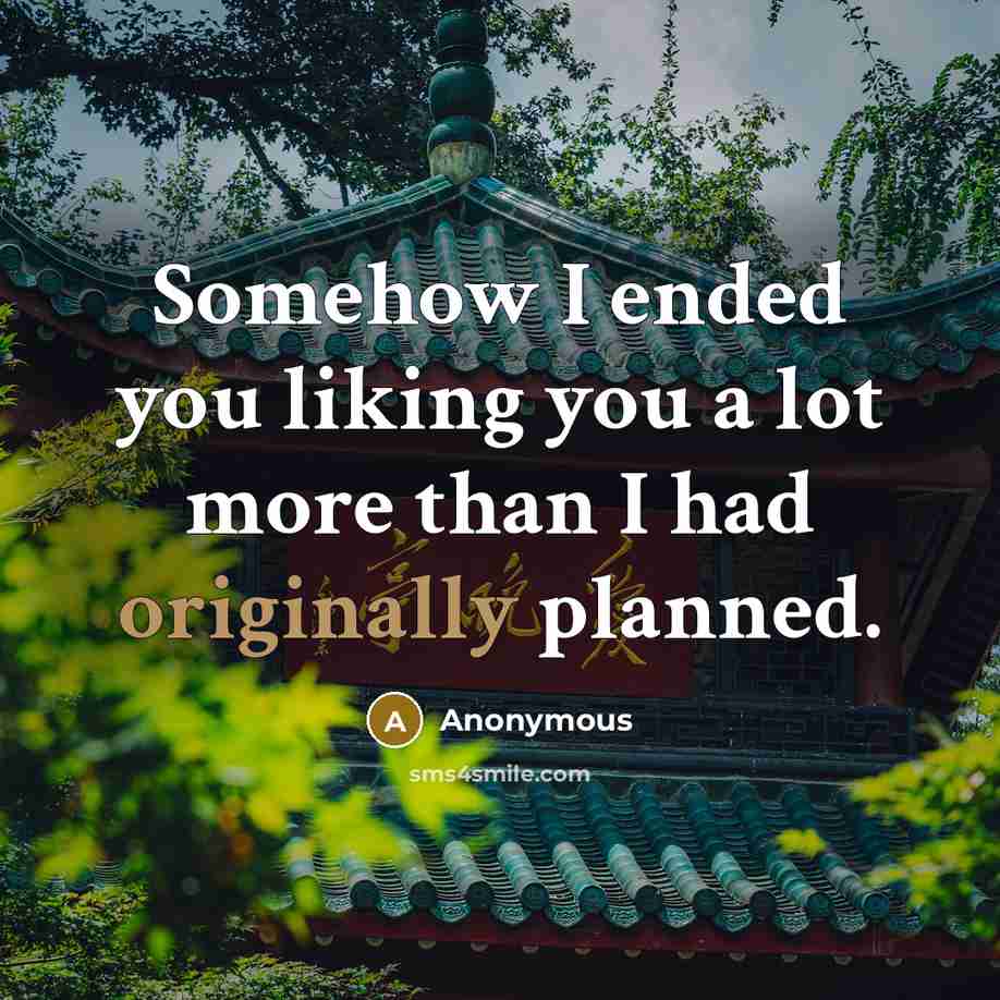 “Somehow I ended you liking you a lot more than I had originally planned.” quote by Anonymous