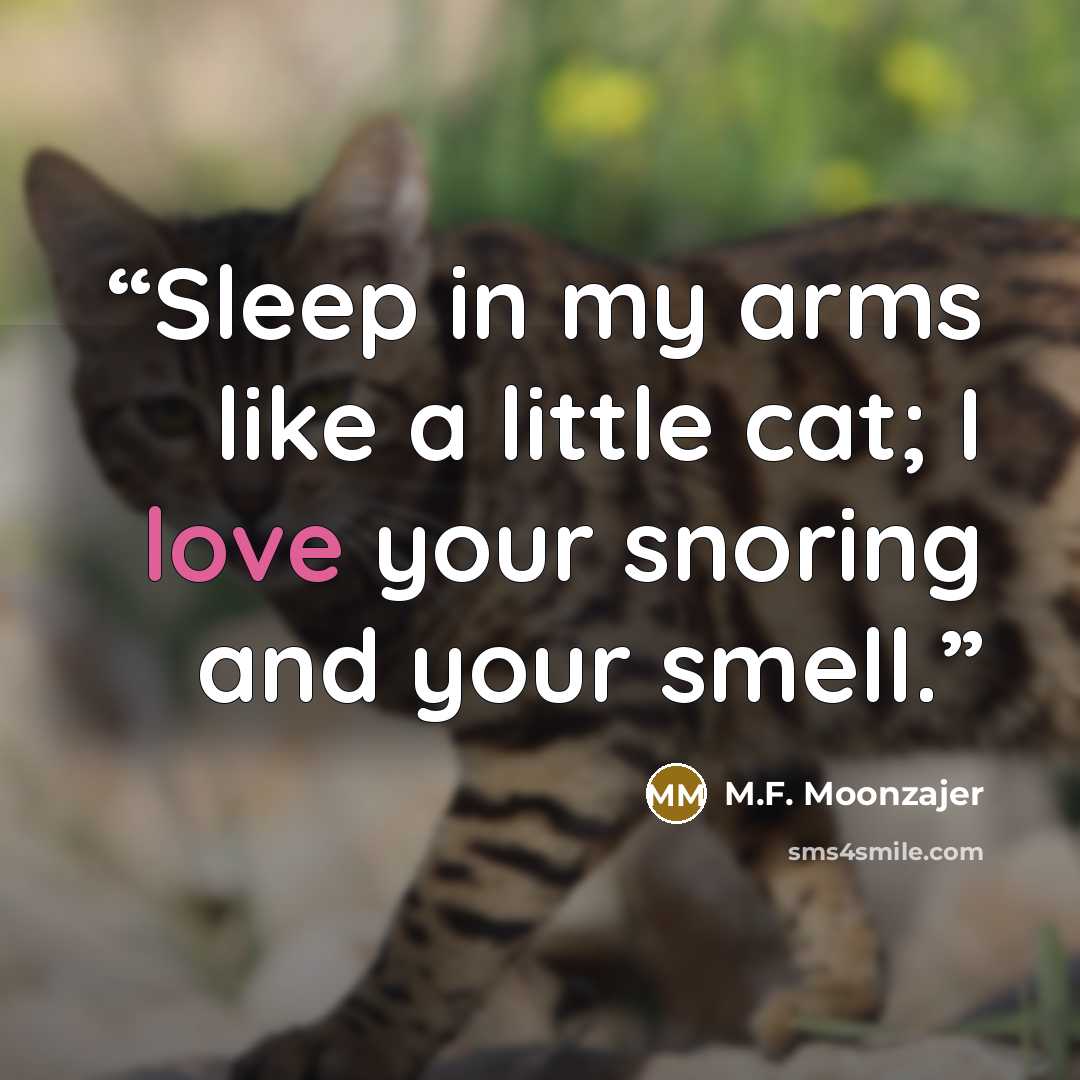 “Sleep in my arms like a little cat; I love your snoring and your smell.” quote by M.F. Moonzajer