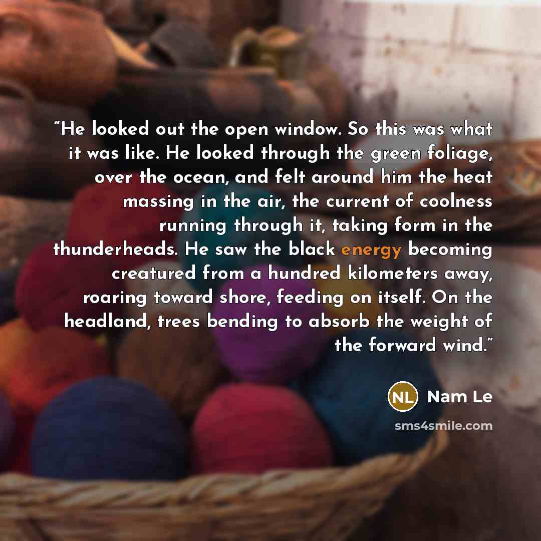 “He looked out the open window. So this was what it was like. He looked through the green foliage, over the ocean, and felt around him the heat massing in the air, the current of coolness running through it, taking form in the thunderheads. He saw the black energy becoming creatured from a hundred…” quote by Nam Le