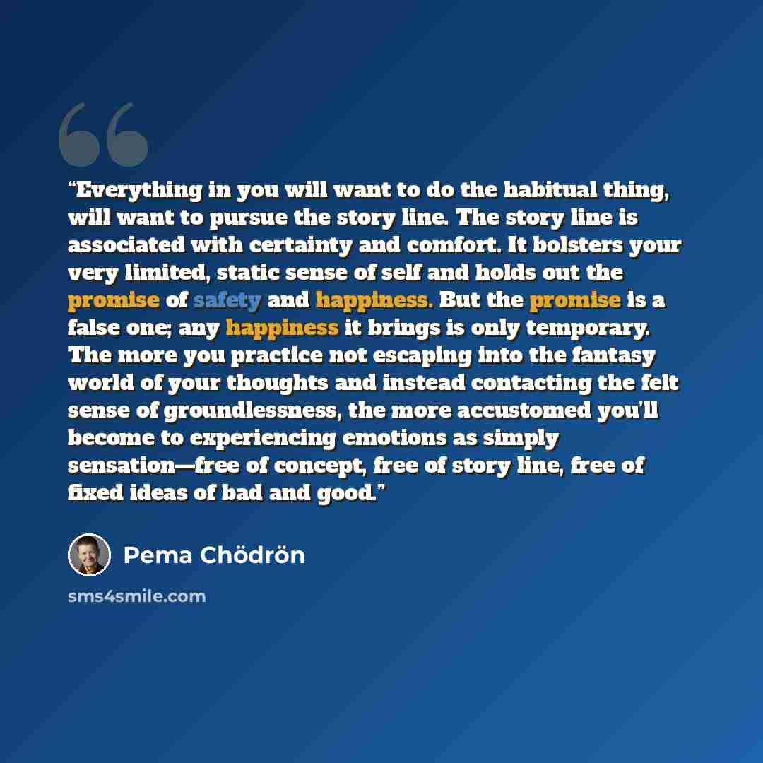 “Everything in you will want to do the habitual thing, will want to pursue the story line. The story line is associated with certainty and comfort. It bolsters your very limited, static sense of self and holds out the promise of safety and happiness. But the promise is a false one; any happiness it…” quote by Pema Chödrön