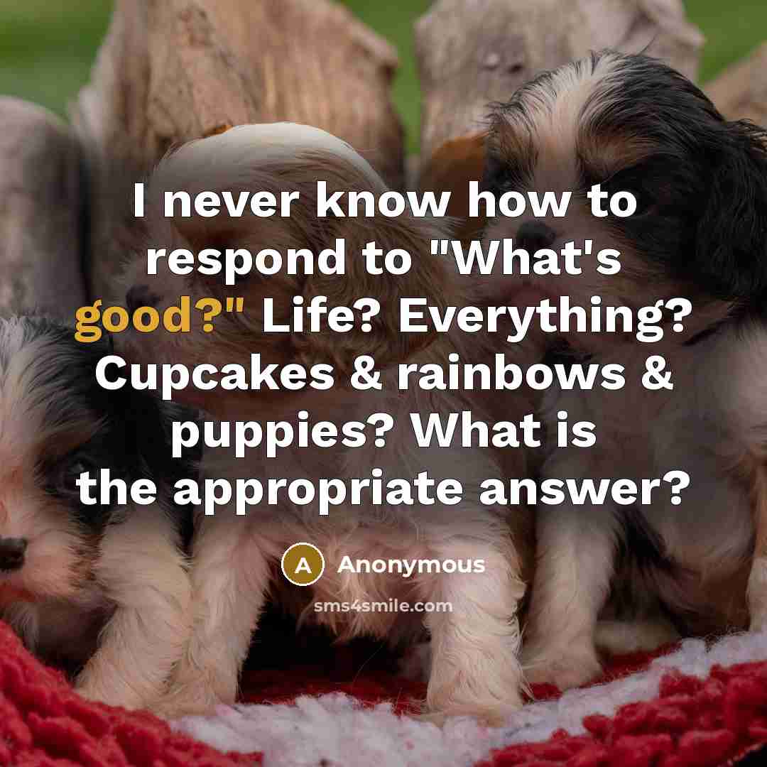 “I never know how to respond to "What's good?" Life? Everything? Cupcakes & rainbows & puppies? What is the appropriate answer?” quote by Anonymous