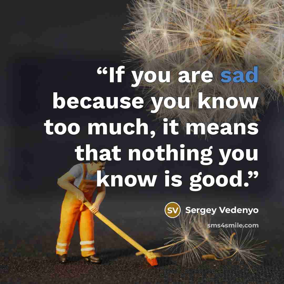 “If you are sad because you know too much, it means that nothing you know is good.” quote by Sergey Vedenyo