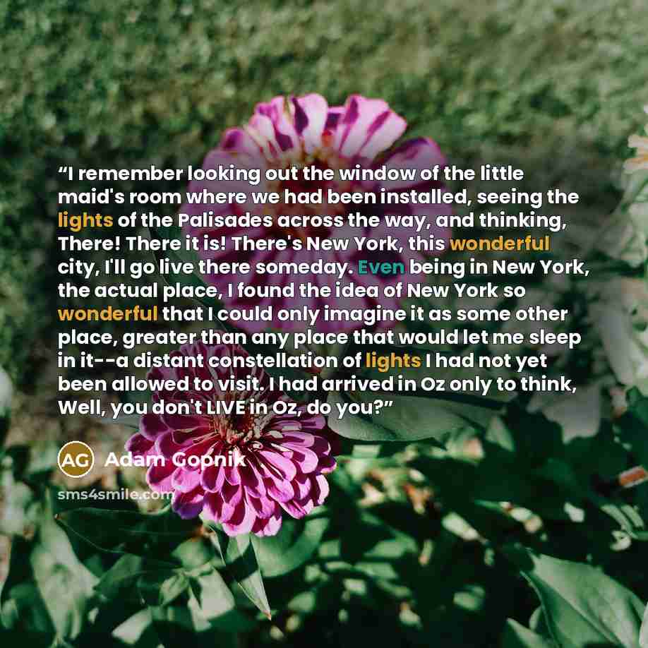 “I remember looking out the window of the little maid's room where we had been installed, seeing the lights of the Palisades across the way, and thinking, There! There it is! There's New York, this wonderful city, I'll go live there someday. Even being in New York, the actual place, I found the…” quote by Adam Gopnik