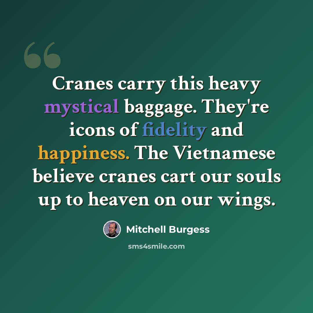 “Cranes carry this heavy mystical baggage. They're icons of fidelity and happiness. The Vietnamese believe cranes cart our souls up to heaven on our wings.” quote by Mitchell Burgess