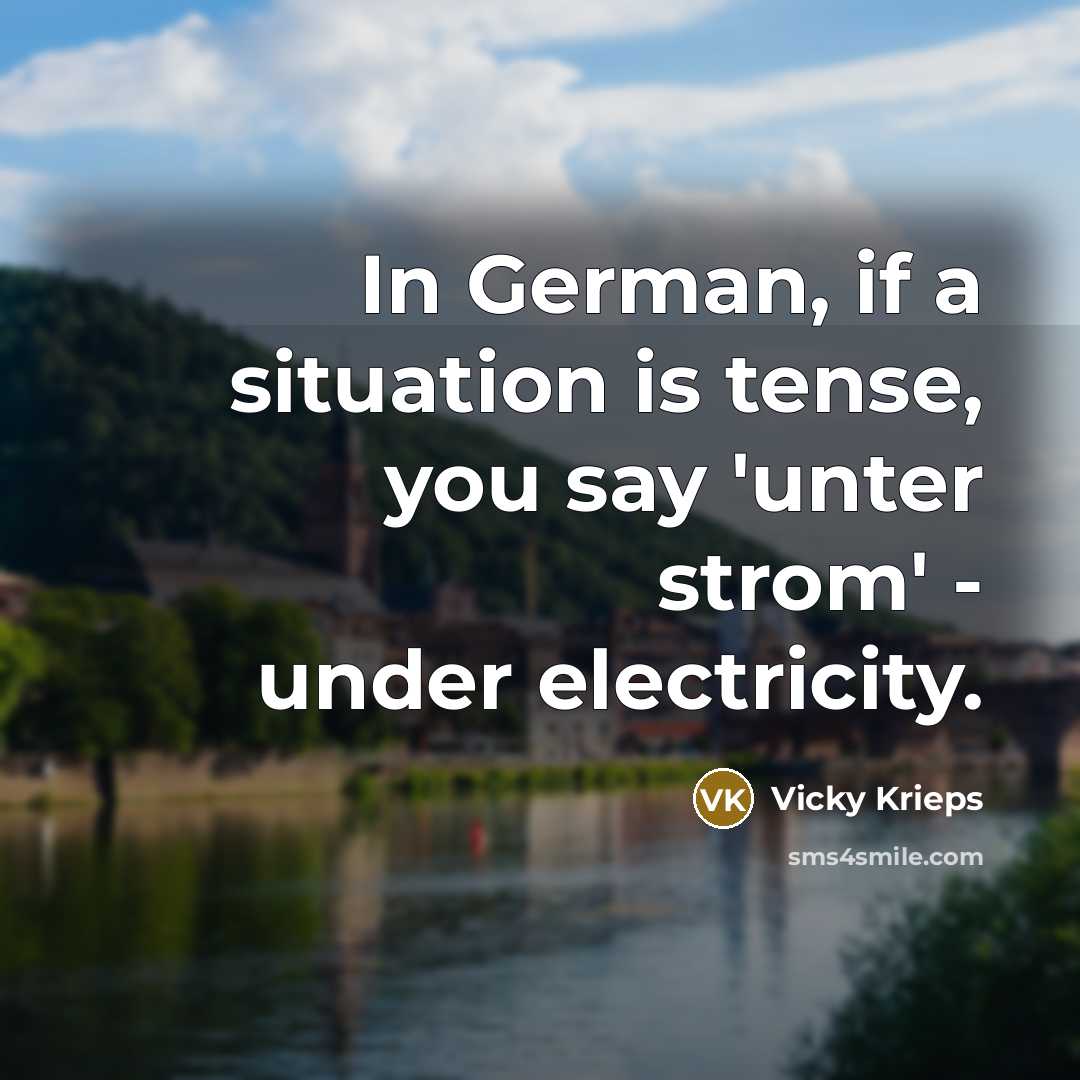 “In German, if a situation is tense, you say 'unter strom' - under electricity.” quote by Vicky Krieps