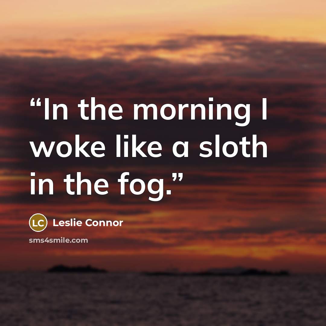 “In the morning I woke like a sloth in the fog.” quote by Leslie Connor