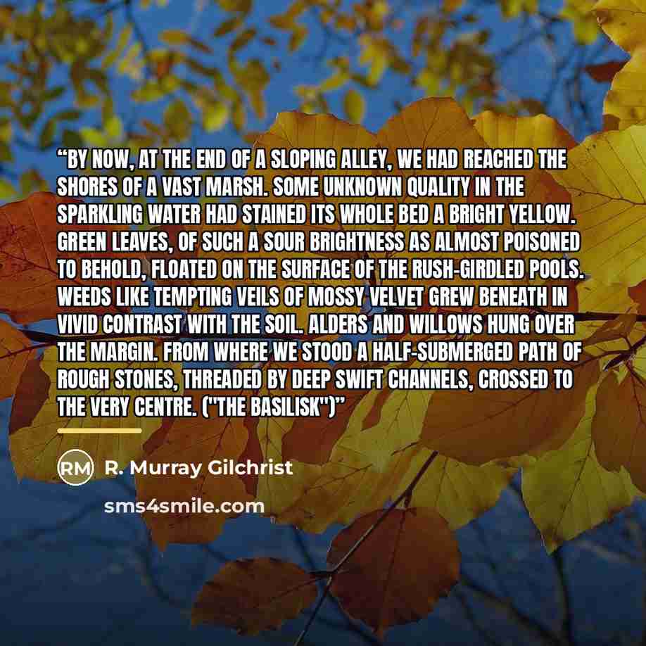 “By now, at the end of a sloping alley, we had reached the shores of a vast marsh. Some unknown quality in the sparkling water had stained its whole bed a bright yellow. Green leaves, of such a sour brightness as almost poisoned to behold, floated on the surface of the rush-girdled pools. Weeds…” quote by R. Murray Gilchrist