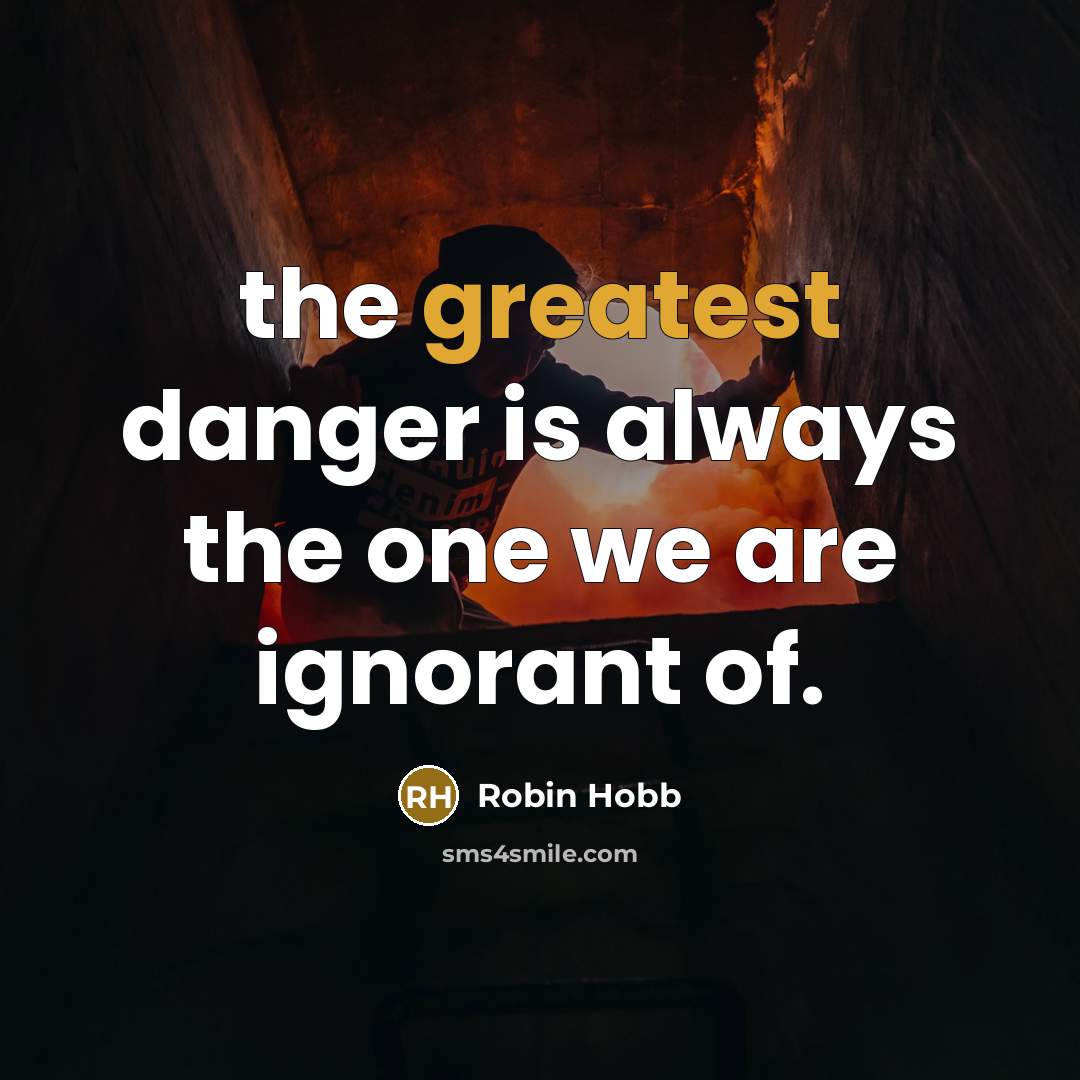 “the greatest danger is always the one we are ignorant of.” quote by Robin Hobb