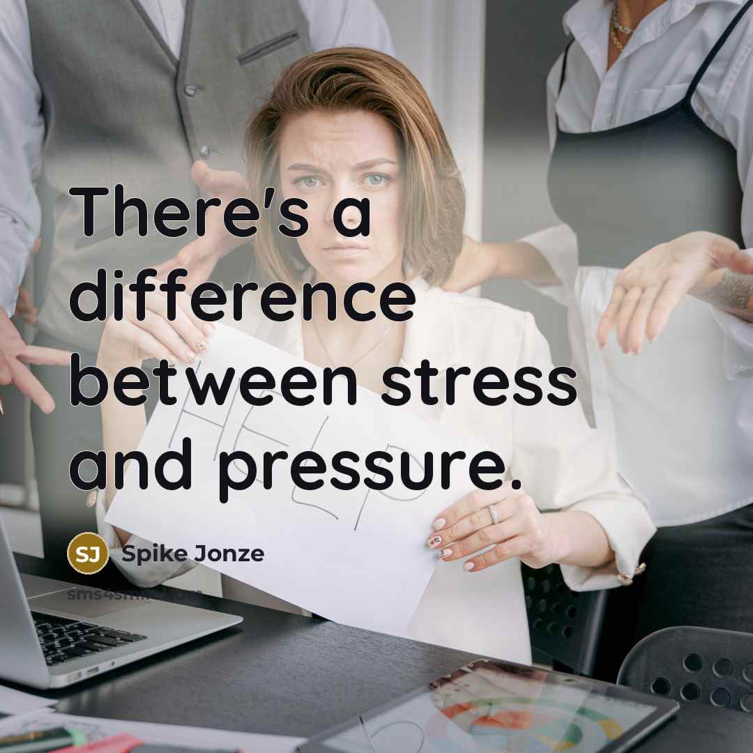 “There's a difference between stress and pressure.” quote by Spike Jonze