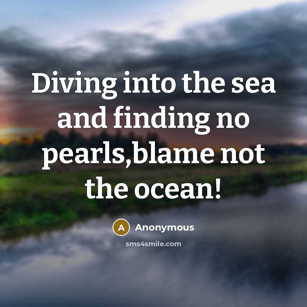“Diving into the sea and finding no pearls,blame not the ocean!” quote by Anonymous