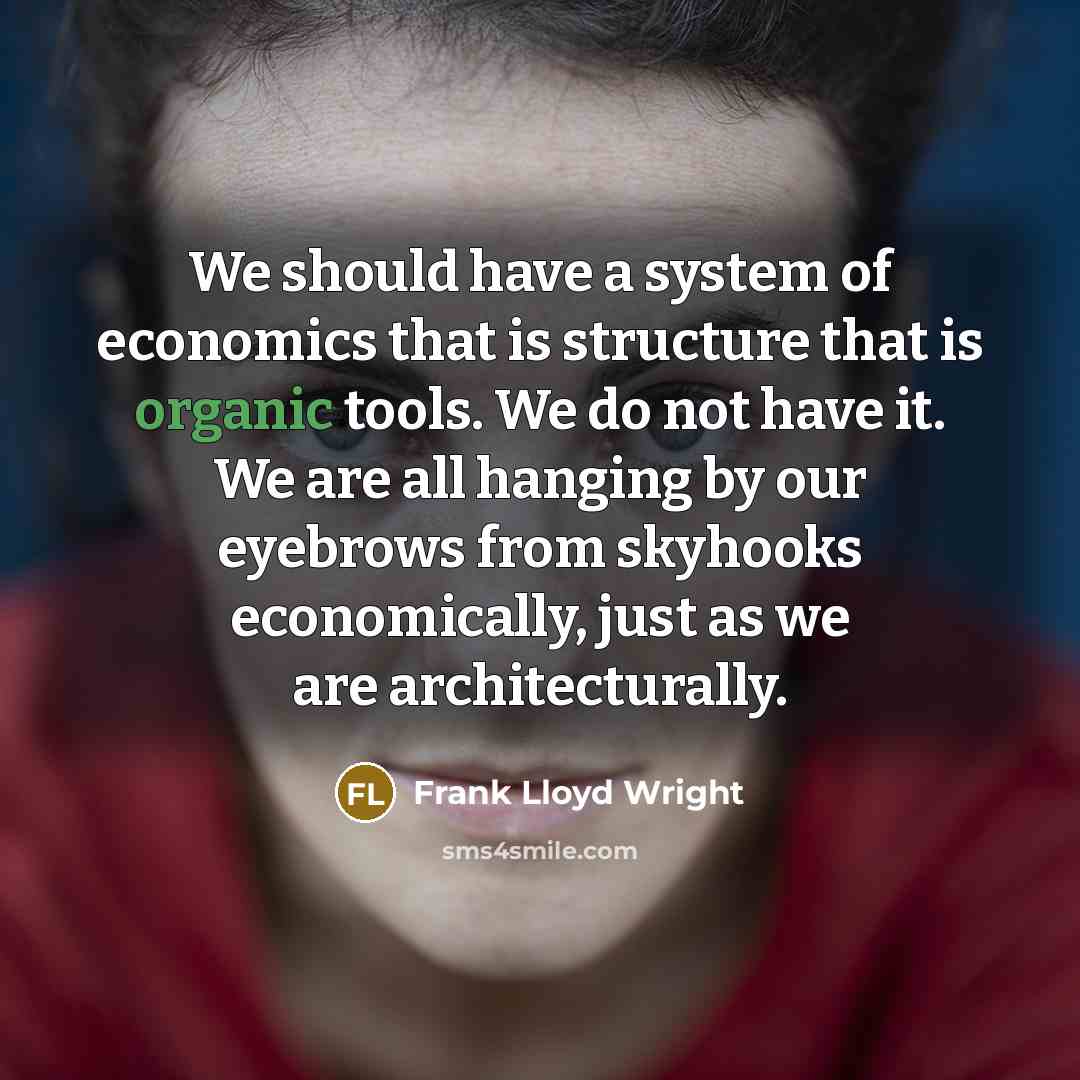“We should have a system of economics that is structure that is organic tools. We do not have it. We are all hanging by our eyebrows from skyhooks economically, just as we are architecturally.” quote by Frank Lloyd Wright