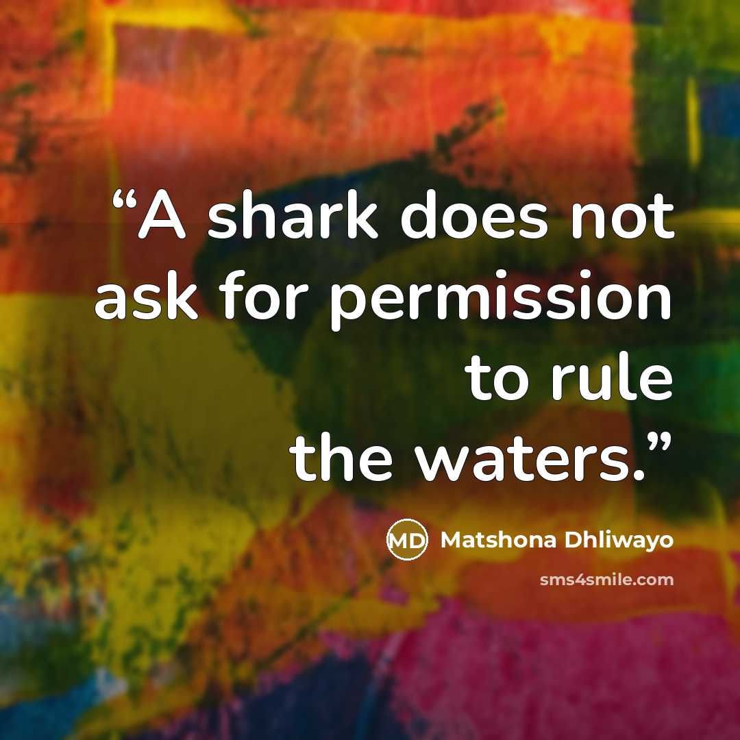 “A shark does not ask for permission to rule the waters.” quote by Matshona Dhliwayo