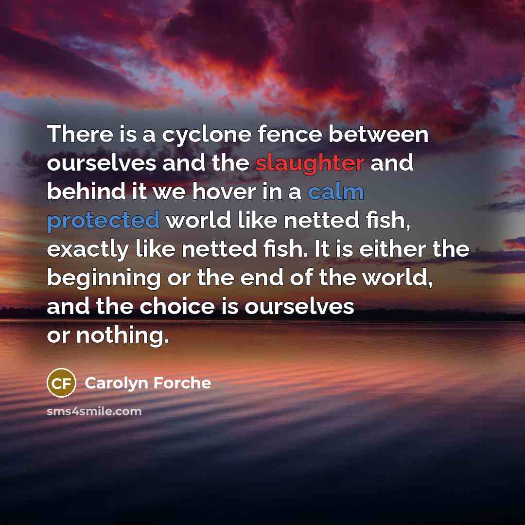 “There is a cyclone fence between ourselves and the slaughter and behind it we hover in a calm protected world like netted fish, exactly like netted fish. It is either the beginning or the end of the world, and the choice is ourselves or nothing.” quote by Carolyn Forche