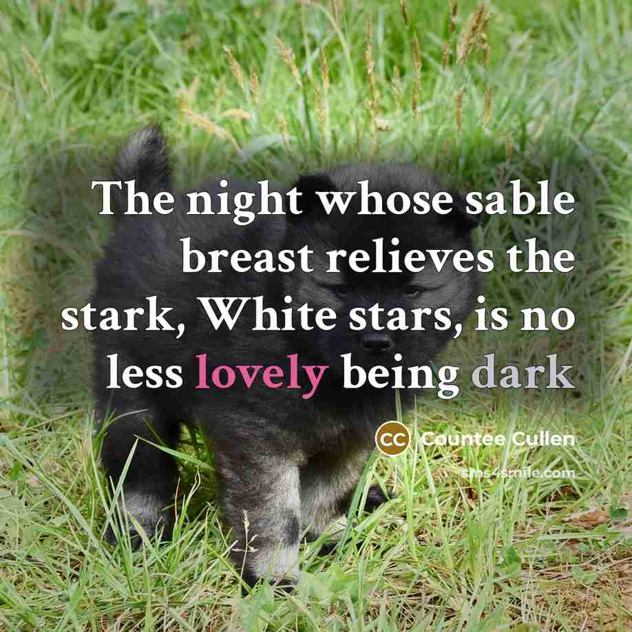 “The night whose sable breast relieves the stark, White stars, is no less lovely being dark” quote by Countee Cullen