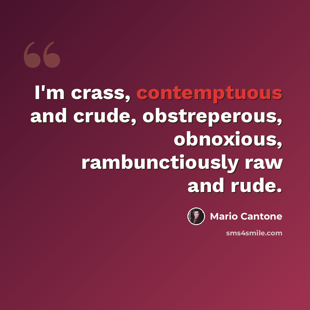 “I'm crass, contemptuous and crude, obstreperous, obnoxious, rambunctiously raw and rude.” quote by Mario Cantone