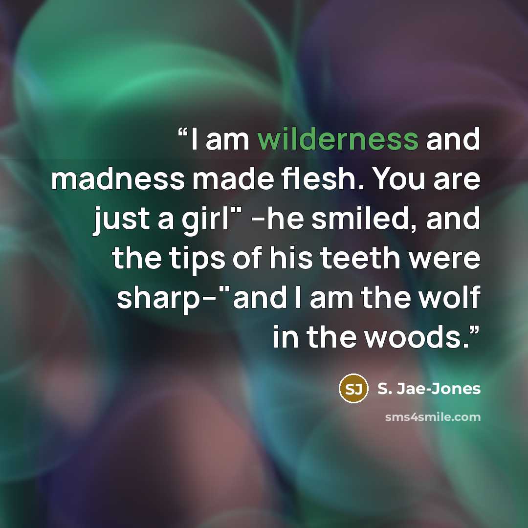“I am wilderness and madness made flesh. You are just a girl" –he smiled, and the tips of his teeth were sharp–"and I am the wolf in the woods.” quote by S. Jae-Jones