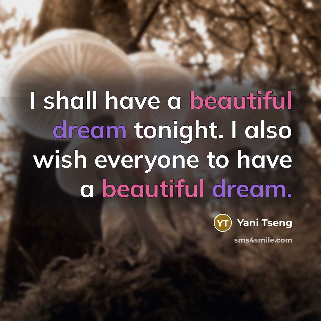 “I shall have a beautiful dream tonight. I also wish everyone to have a beautiful dream.” quote by Yani Tseng