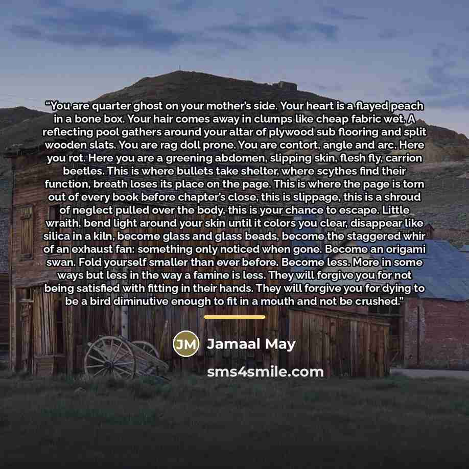 “You are quarter ghost on your mother’s side. Your heart is a flayed peach in a bone box. Your hair comes away in clumps like cheap fabric wet. A reflecting pool gathers around your altar of plywood sub flooring and split wooden slats. You are rag doll prone. You are contort, angle and arc. Here…” quote by Jamaal May