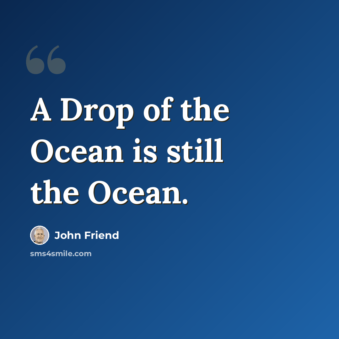 “A Drop of the Ocean is still the Ocean.” quote by John Friend