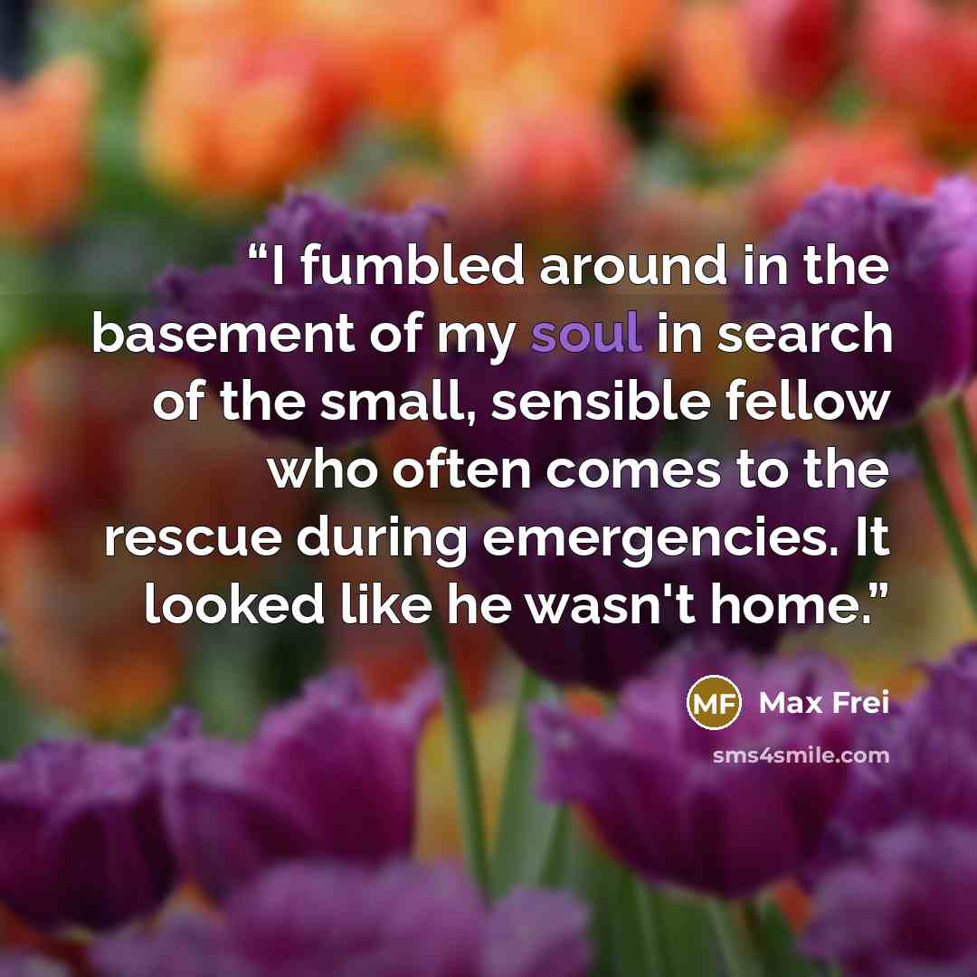 “I fumbled around in the basement of my soul in search of the small, sensible fellow who often comes to the rescue during emergencies. It looked like he wasn't home.” quote by Max Frei