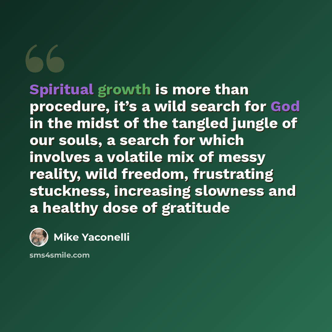 “Spiritual growth is more than procedure, it’s a wild search for God in the midst of the tangled jungle of our souls, a search for which involves a volatile mix of messy reality, wild freedom, frustrating stuckness, increasing slowness and a healthy dose of gratitude” quote by Mike Yaconelli